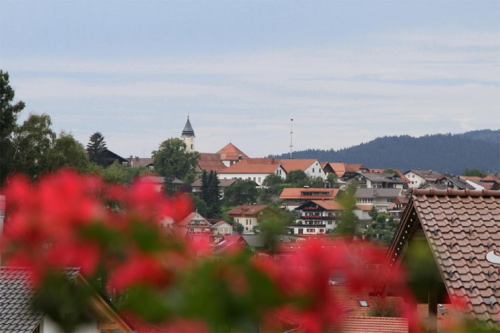 Pension Anderl Bodenmais Bagian luar foto